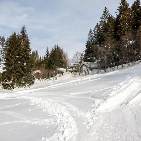 Domek alpejski Chalet Pillberg *