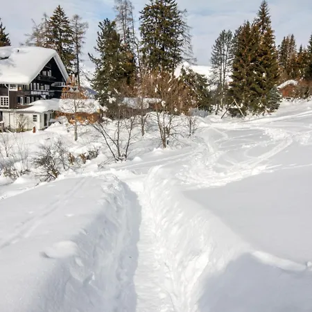 Chalet Pillberg Domek alpejski